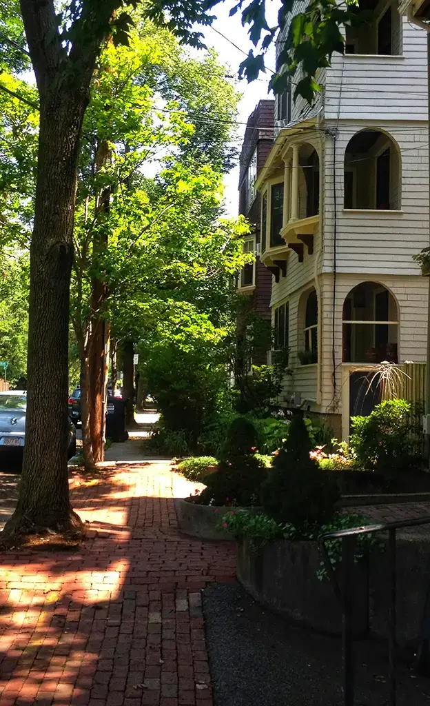Cambridge, MA Neighborhood with trees
