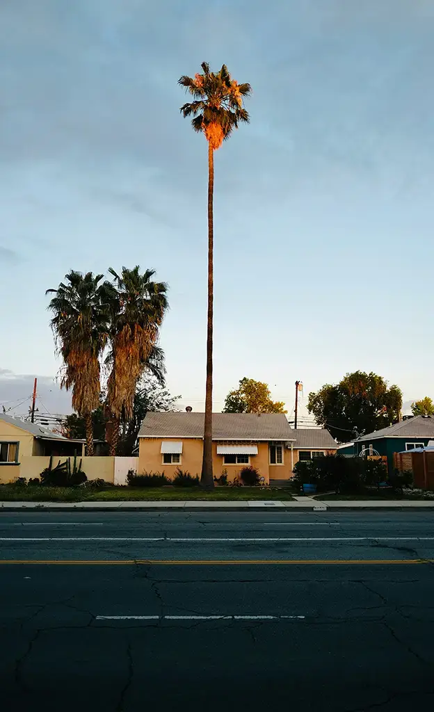 Encino's community